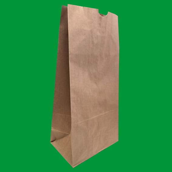 Saco Kraft con Fuelle